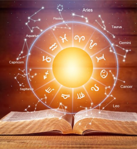 WhatsApp Image 2026-02-11 at 11.59.03 AM